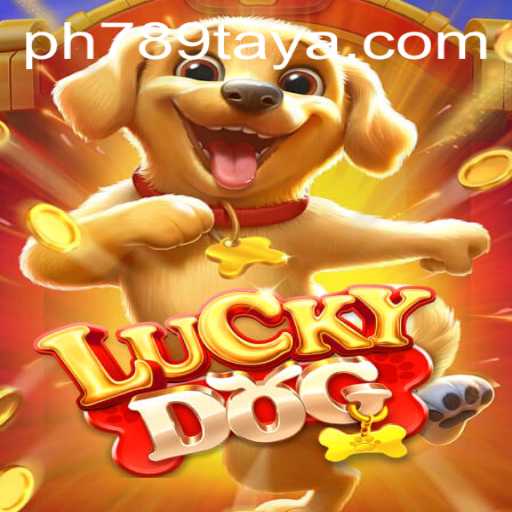 Exploring LuckyDog Game