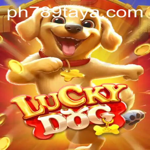 Exploring LuckyDog Game