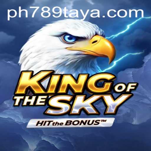 KingOfTheSky: A Grand Adventure into the Realm of Aerodynamics