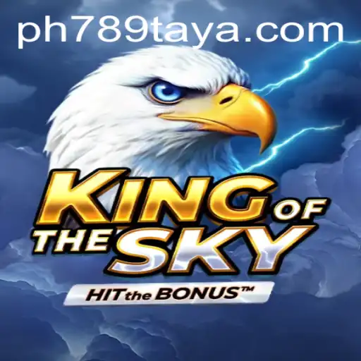 KingOfTheSky: A Grand Adventure into the Realm of Aerodynamics